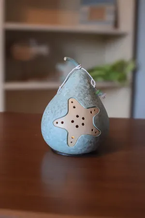 Coastal - Starfish Miniature