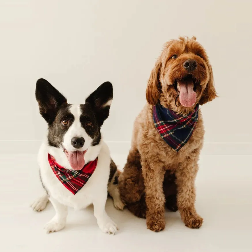 Imperial Tartan Dog Bandana